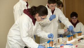 Abbott Inspires the next generation of Scientists and Engineers in Donegal
