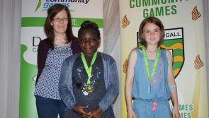 Donegal county finals of Community Games Art