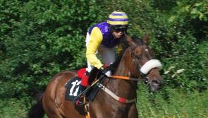 Donegal horse race meeting to go ahead at Lifford tomorrow