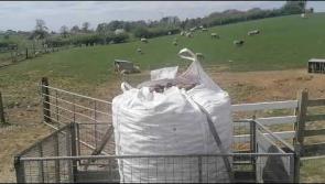 WATCH: Controversial Donegal farmer fundraising for Irish food aid initiative during Covid-19 crisis