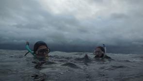 Donegal divers explore Melmore Head