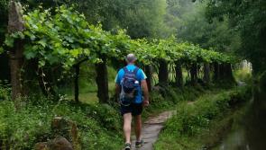 Read the Reid: The Camino Walk