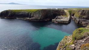 Abundance of Donegal marine life a joy to behold