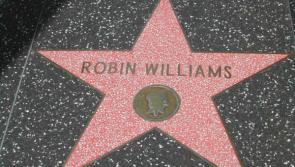 The life of Robin Williams, at The Alley