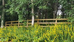 Weather for Donegal, Saturday, September 2nd, 2017