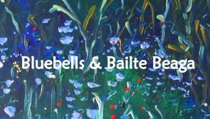 Bluebells and Bailte Beaga, an exhibition of paintings and textile art