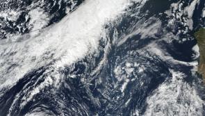 Storm claims second life