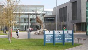 IT Sligo and NUI Galway will reopen tomorrow - decision shortly on whether LYIT will open or remain closed