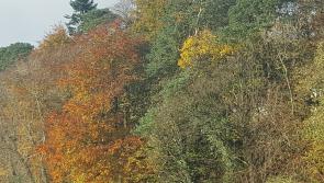 Weather for Donegal, Friday, November 3rd, 2017
