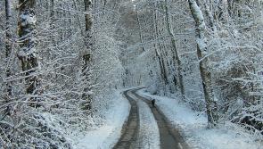 ALERT: Met &Eacute;ireann issues Status Yellow low temperature/ice warning 