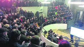 New arrangements for the operation of marts will affect many Donegal farmers