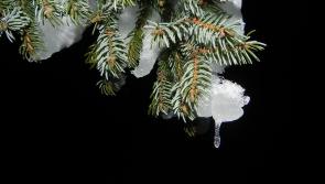 Memories of Christmas Eve from  Kilcar to Mulroy with  Donegal Democrat columnist Frank Galligan