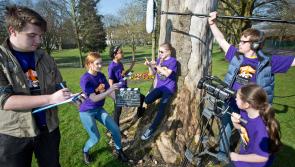 Fresh Film Festival: Is Ireland's Young Filmmaker of the year from Donegal? 