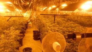 An estimated €289k worth of cannabis seized in operations across three counties