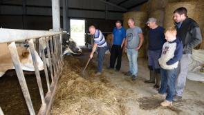 Fodder hit farmers in Donegal urged to complete 'forage forms' immediately