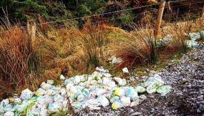 'It is cheaper to buy nappies than to dispose of them' - Cllr 
