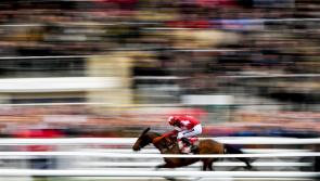 See Our Cheltenham tips for Day 2 - Wednesday, March 11