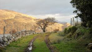 Fear that planning rules could restrict building of houses in rural parts of Donegal