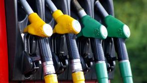 Fuel prices rise again after short-lived drop