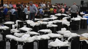 Popular Donegal county councillor rules out running in general election