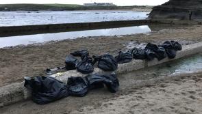 Brilliant voluntary effort in Bundoran sees hundreds of dead fish removed 
