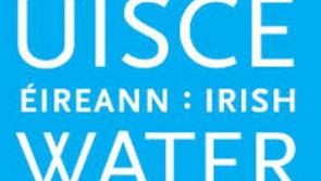 Major works programme from Irish Water to see 40km of ageing pipes replaced
