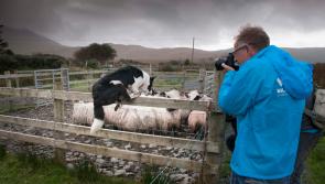 Leading German Brand Panasonic ‘Snap Up’ the Wild Atlantic Way