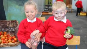 Celebrating the harvest at Gaelscoil na gCeithre Maistrí
