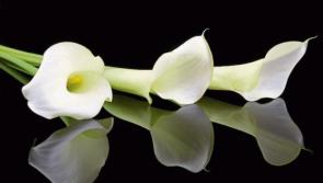 Sad passing of much loved Twin Towns teacher