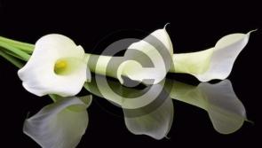 Deaths in Donegal - Thursday evening, January 23