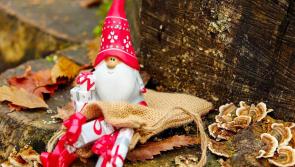 Festive online hub launched for homesick Irish diaspora who can't return for Christmas