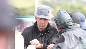 Donegal agricultural shows part of TG4 documentary 