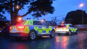 Children  aged  four to ten found dead in Dublin home