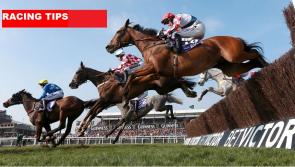 CHELTENHAM RACING TIPS - Five  horses that could make you a fortune at Cheltenham 2019