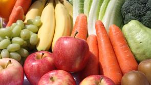 Same grub for Irish soldiers and prisoners under multi-million euro contracts 