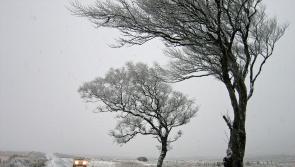 Met Éireann issues status yellow ice warning 