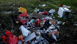 Revealed: Only a handful of people are convicted each year for  illegal dumping, littering or dog fouling offences in Donegal 