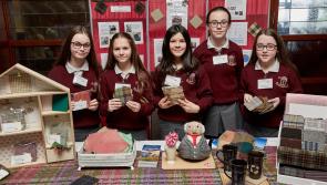 Double success for Abbey VS Donegal town at National Student Enterprise Awards
