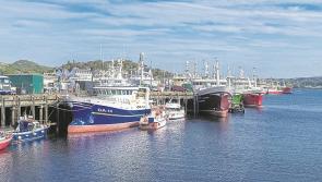 Donegal TD tells Donegal Minister that Irish fishing fleet require urgent fuel supports