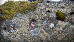 New IT Sligo archaeological excavations in Donegal