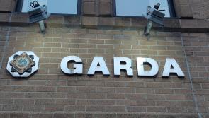Garda appeal after car found burnt out in Donegal woods