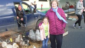 Anglo-Celt comes back home to Donegal