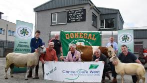 Donegal IFA to hold charity auction of donated livestock for Cancer Care West