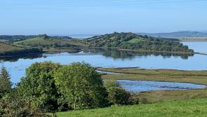Coffee with a real Donegal view