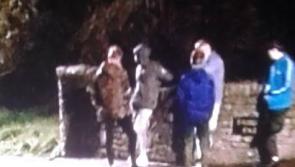 Residents in fire of illegal fireworks display in Letterkenny

