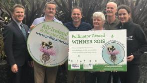 Donegal scoops gold in Tidy Towns  2021
