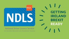 Brexit means time running out for Uk-NI licence exchange

