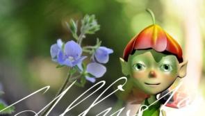 A five day feast of creative arts for all the family at this year's Allingham Festival