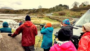 Bird tour to highlight environmental richness of threatened bay

