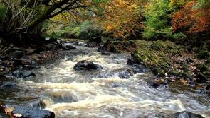 Irish Water accused of “dragging its feet” in Donegal over Buncrana's  Westbrook pump house
upgrade
